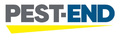 Pest-End